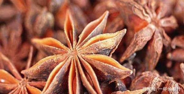 可收進廚房的烹飪香料(收藏起來再看)一 可收進廚房的烹飪香料(收藏起來再看)一