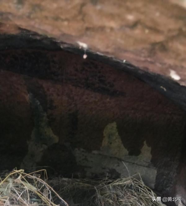 重慶北碚復興街道母子洞,道與仙兩界爭鬥多年最後以經濟開發結束 重慶北碚復興街道母子洞,道與仙兩界爭鬥多年最後以經濟開發結束