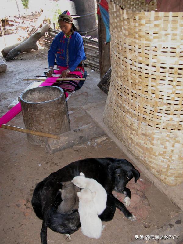 神秘的阿佤山:孟連佤族百姓的生活影象(一) 神秘的阿佤山:孟連佤族百姓的生活影象(一)