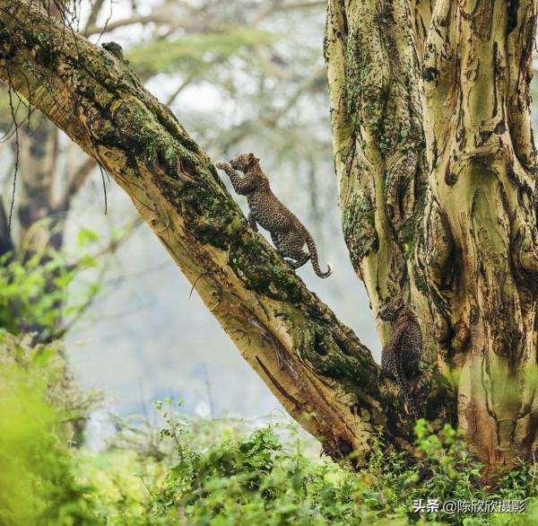 那庫魯保護區,成全你的瀟灑與冒險 那庫魯保護區,成全你的瀟灑與冒險