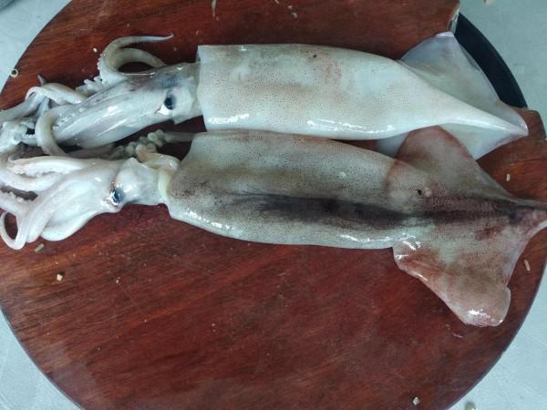 中秋節要吃團圓餃子，包餃子就用這4種餡，都是應季食材，特香