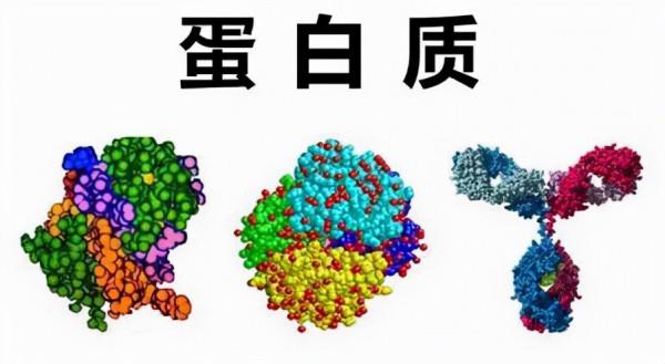 衰老有可能逆轉嗎？