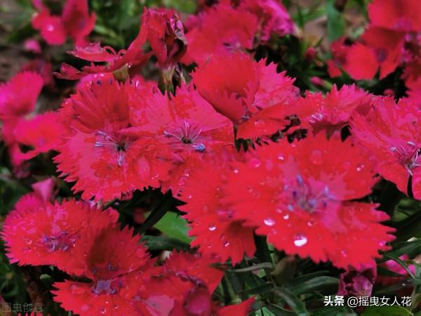 在逆境中才認識了涼薄的人心，自己選的路，跪著也得走完