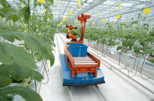 知耕快報｜世界最小農業AI機器人問世；藻類基因注入重塑視覺神經