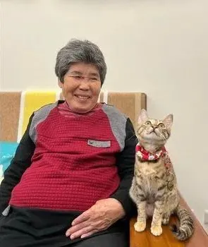 72歲的老阿嬤推著毛孩子散步,把遛貓當復健,暖哭眾人 72歲的老阿嬤推著毛孩子散步,把遛貓當復健,暖哭眾人