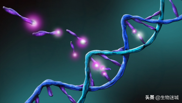 能夠“逆天改命”的基因剪刀——修改生命天書 能夠“逆天改命”的基因剪刀——修改生命天書