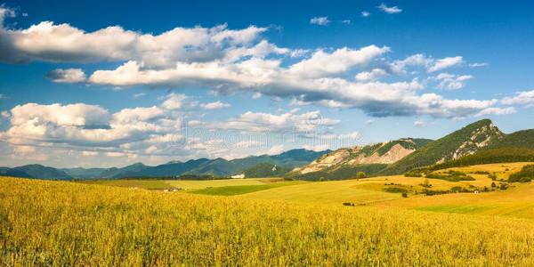 感謝自己,沒有放棄自己 感謝自己,沒有放棄自己