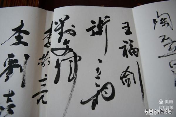 山西臨猗：叔侄倆舉辦的書法藝術個人家庭展在農家小院隆重開幕