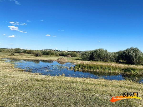 高畫質組圖丨小灤河國家溼地公園：生態優先 綠色發展