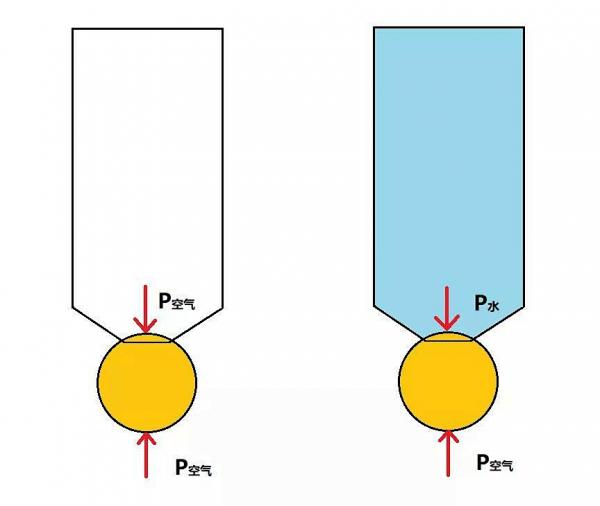 3個親子趣玩科學實驗，給家長的手把手教程來了
