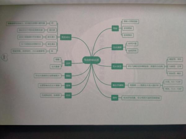 健康管理:兒童成長路上的攔路虎,怎麼辦? 健康管理:兒童成長路上的攔路虎,怎麼辦?