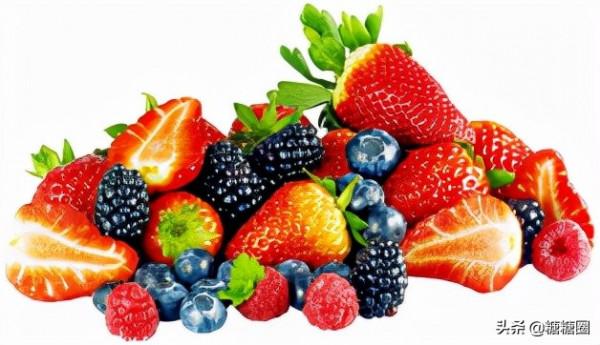 預防與改善高血壓的飲食法——DASH飲食