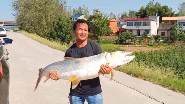 誤傷？湖北男子釣草魚卻意外釣起59斤水老虎，男子：溜得腿都軟了