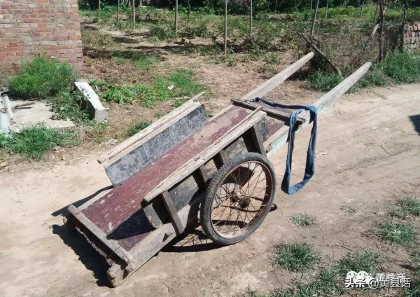 車襻、紐襻、襻帶鞋，這些襻是什麼意思？