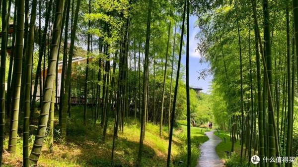 人生只合住湖州!景美,好吃,消費低!記3天2晚慢生活之旅 人生只合住湖州!景美,好吃,消費低!記3天2晚慢生活之旅
