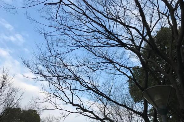 怎麼看待素質教育和應試教育? 怎麼看待素質教育和應試教育?