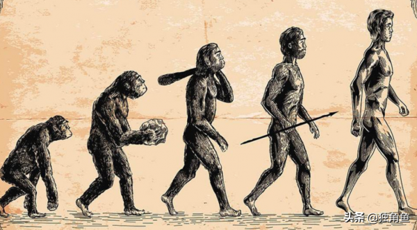 為什麼地球那麼多的生命，唯有人類脫穎而出，成為唯一的智慧群體