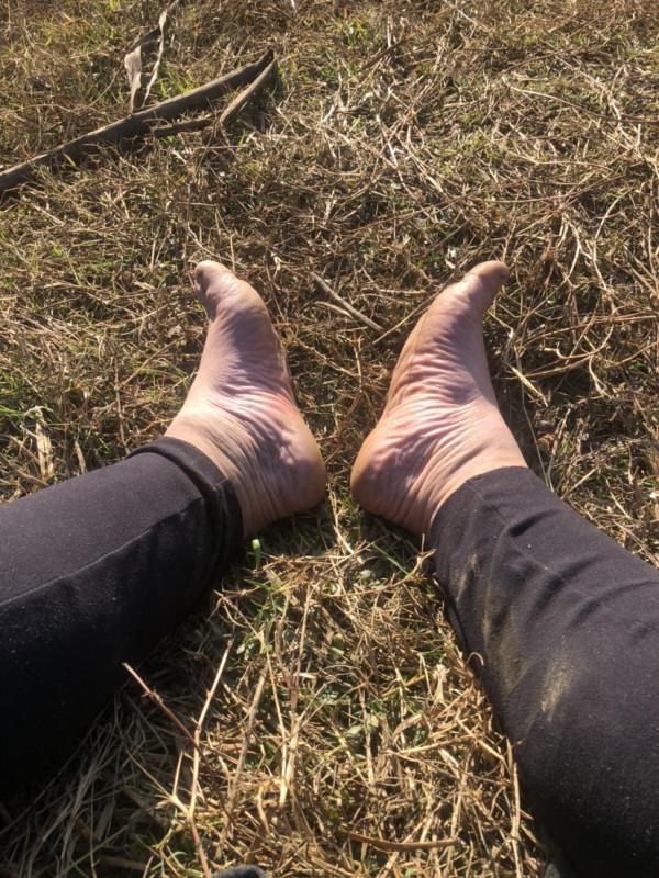 探索沼澤塘有驚無險,黃金小奶鯽齊上岸 探索沼澤塘有驚無險,黃金小奶鯽齊上岸