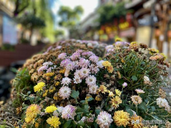 一年出門10個月縱橫30000公里，倆人一車要花多少錢？你能猜到嗎