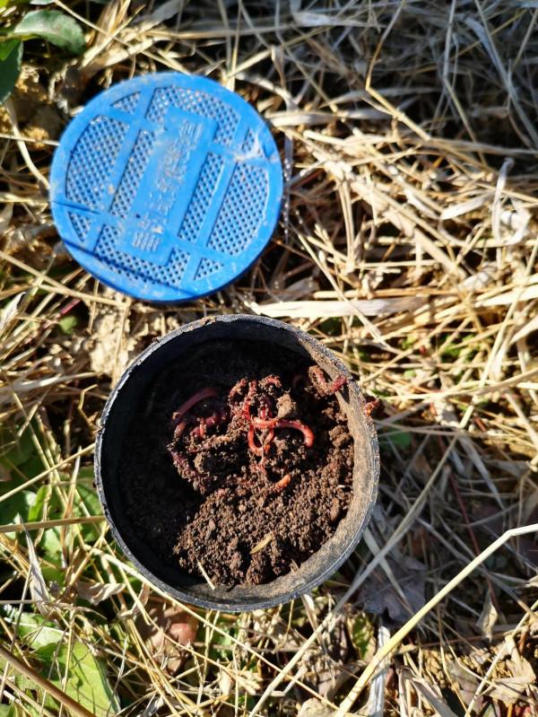 女釣手冬釣養成記