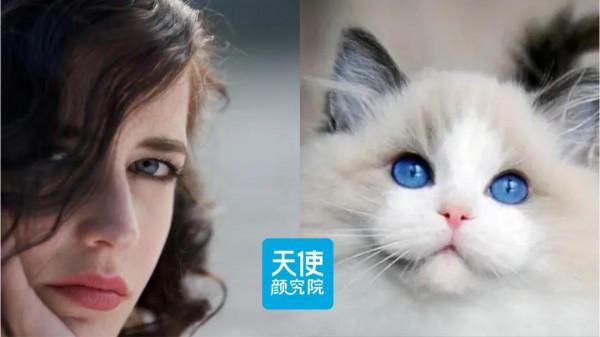 靈得像雪域公主,這居然是楊超越... 靈得像雪域公主,這居然是楊超越...