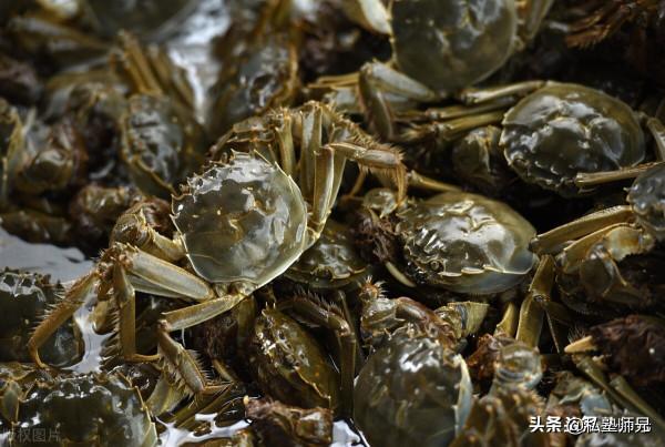 蒸螃蟹冷水下鍋還是熱水下鍋?蒸多久?牢記3點,蟹不掉腿流黃 蒸螃蟹冷水下鍋還是熱水下鍋?蒸多久?牢記3點,蟹不掉腿流黃