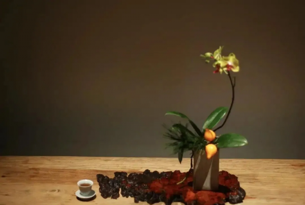 大寒花信 &vert; 寒盡春自來，年味逐日濃