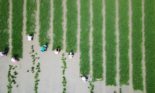 年輕人的新潮流：回老家創業