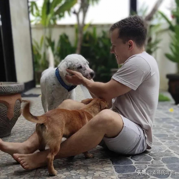 撿到一個禿毛流浪狗,才3個多月,它就變超甜大白... 撿到一個禿毛流浪狗,才3個多月,它就變超甜大白...