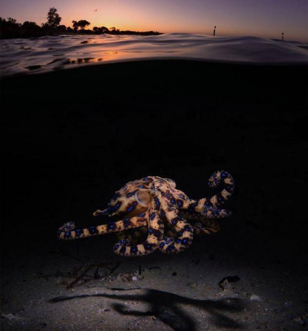 45張照片！讓你看到驚奇無比，難以想象的神奇的大自然