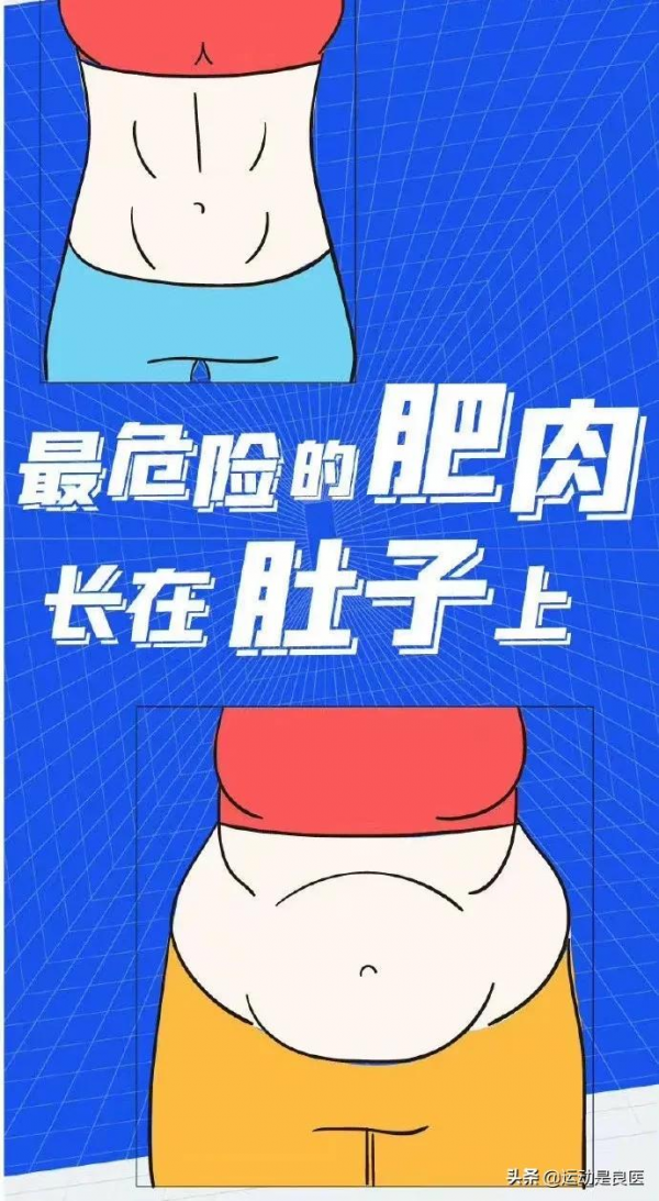 內臟&OpenCurlyDoubleQuote;瘦身&rdquo;計劃，預防心腦血管疾病，從&OpenCurlyDoubleQuote;肚子&rdquo;開始