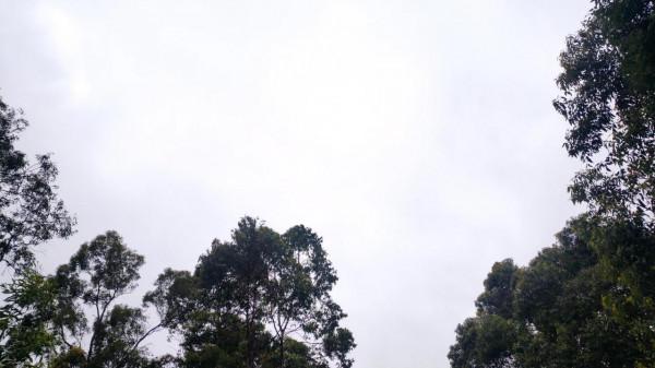 牛年總結虎年寄語