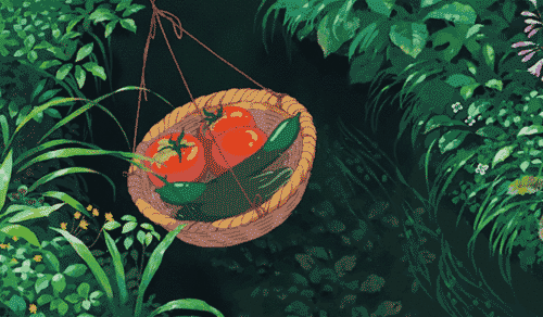 這些蔬菜不要放冰箱,容易變味變質!第一種你家就有 這些蔬菜不要放冰箱,容易變味變質!第一種你家就有