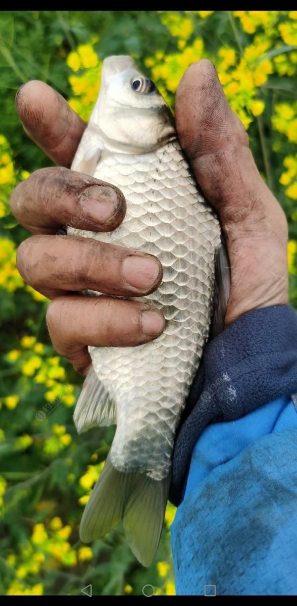 白馬湖南閘