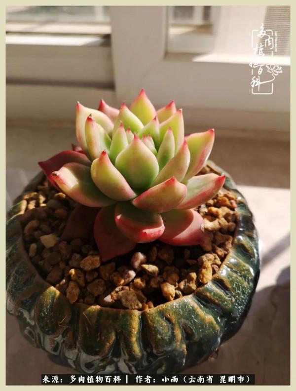 用一份熱愛，溫暖一段時光