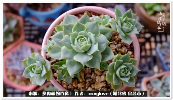 時光匆匆，一閃而逝，這世間萬物的美，都值得被記錄