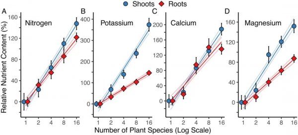 26年實驗！科學家證實植物多樣性改善土壤肥力