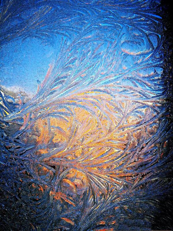 盛開在冬日窗欞上的冰窗花