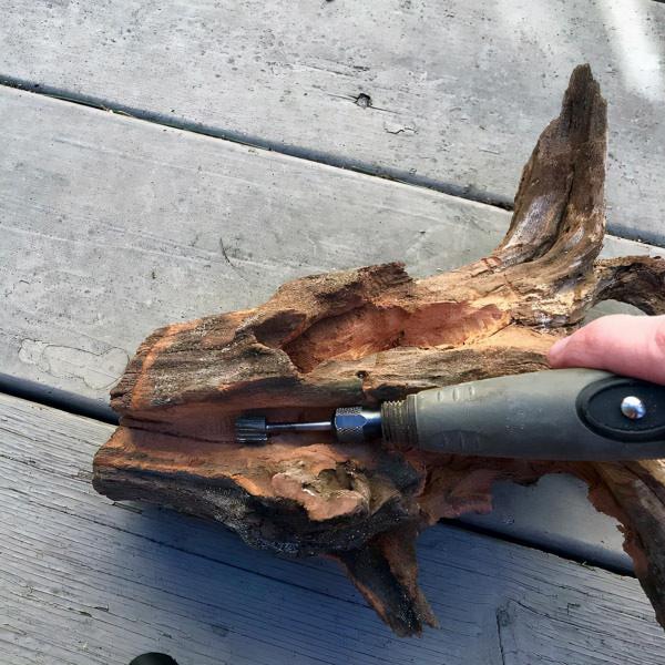 天然的木頭，呆萌的多肉，不一樣的美