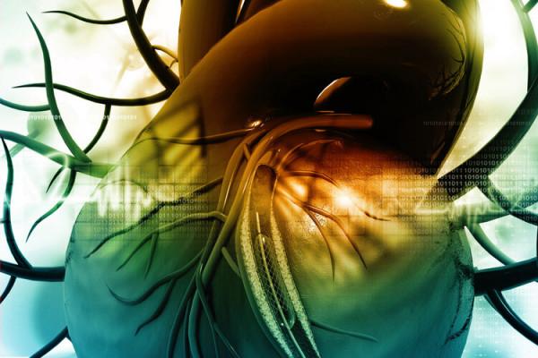 心臟支架手術：到底是治病救人還是“缺德害人”？告訴你真相