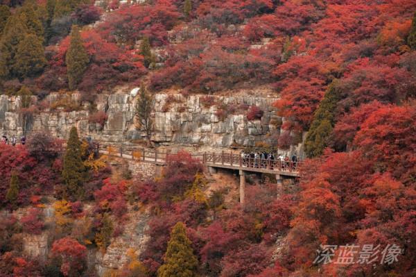 石門坊最美紅葉 石門坊最美紅葉