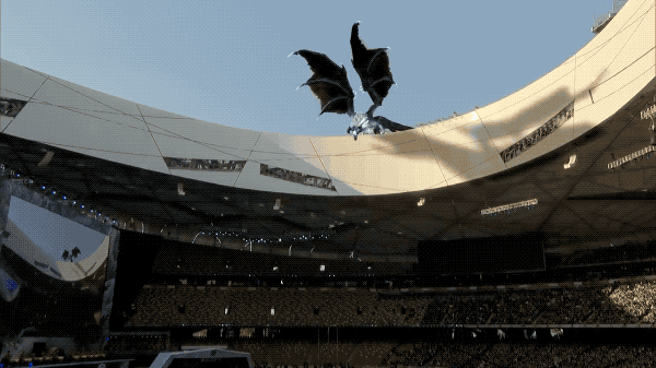 NFL球場驚現黑豹，觀眾都看呆了