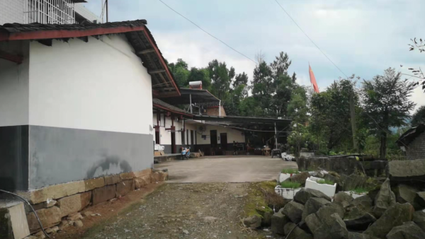 四川“五個大爺”登上央視：短短几個月吸粉700萬，團隊稱正努力打造品牌