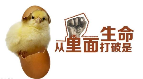 築城小故事(一) 築城小故事(一)