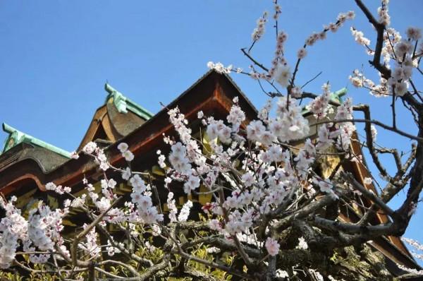 冬天的京都，去這些地方玩會更有趣