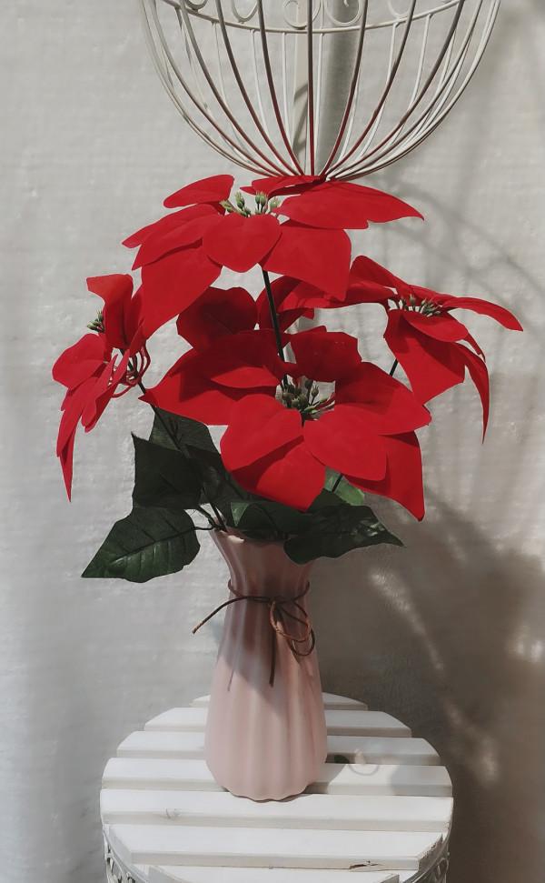 越美的花越有毒，生活誠不欺我！快來認識七種大毒花，避免受傷害