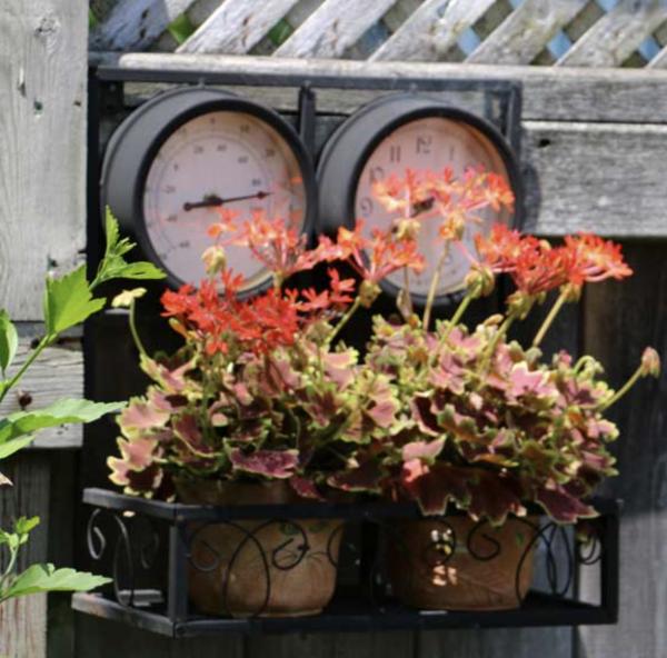30種與眾不同的花園,水壺、舊靴子、爛門框,全部都可以種花 30種與眾不同的花園,水壺、舊靴子、爛門框,全部都可以種花