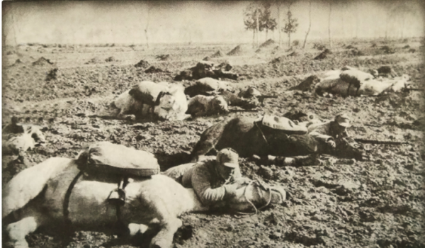 72年劉沙致信毛主席,要求看望病中的丈夫,5天后主席批示:同意 72年劉沙致信毛主席,要求看望病中的丈夫,5天后主席批示:同意