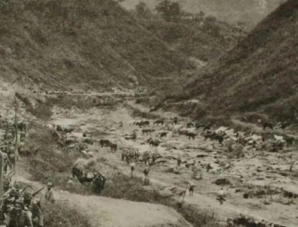 遠征軍伏擊了鬼子隊伍，擊斃了鬼子指揮官