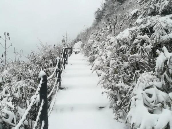 巴山大峽谷羅盤頂下大雪了，快來看被暫停住的美吧